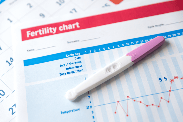 Does Sea Moss Help with Fertility?