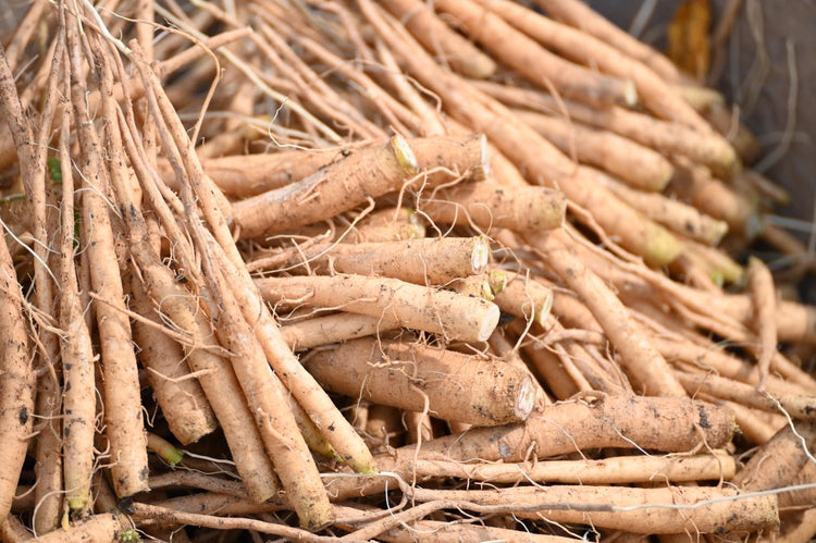 Does Ashwagandha Really Increase Testosterone? Facts & Myths