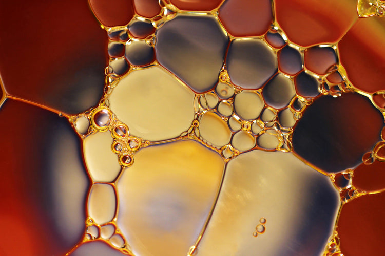 seed oils