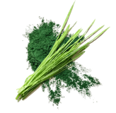 Green powder and fresh green leaves on a white background